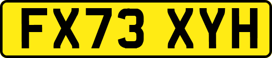 FX73XYH