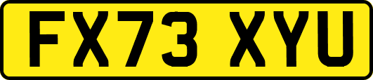 FX73XYU