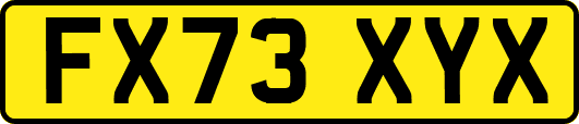 FX73XYX
