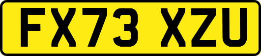 FX73XZU