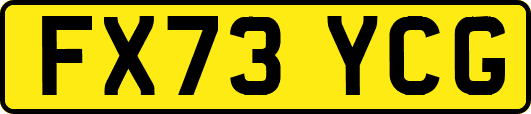 FX73YCG