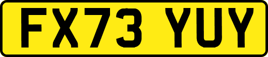FX73YUY