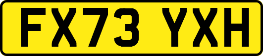 FX73YXH