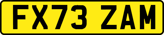 FX73ZAM