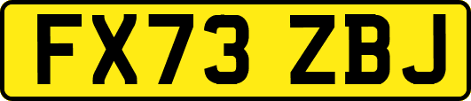 FX73ZBJ
