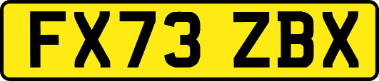 FX73ZBX