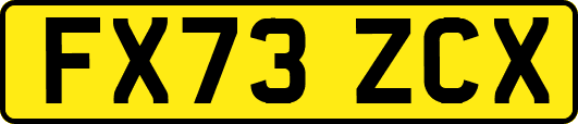 FX73ZCX