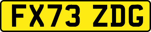 FX73ZDG