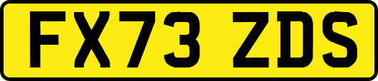 FX73ZDS