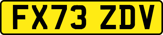 FX73ZDV