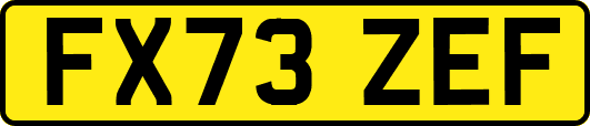 FX73ZEF