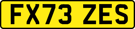 FX73ZES