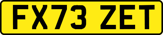 FX73ZET