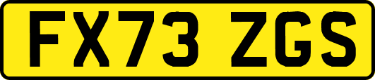 FX73ZGS