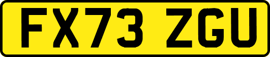 FX73ZGU