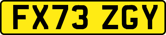 FX73ZGY