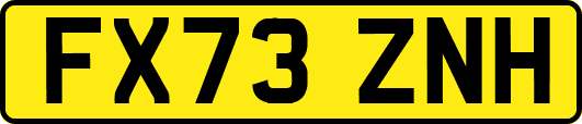 FX73ZNH