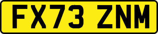 FX73ZNM