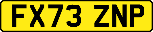 FX73ZNP