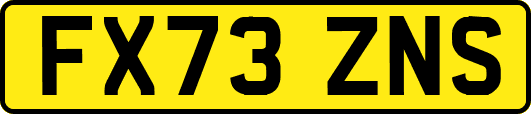 FX73ZNS