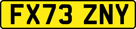 FX73ZNY