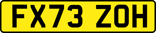 FX73ZOH