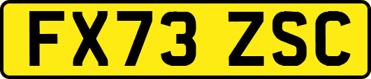 FX73ZSC