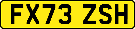 FX73ZSH