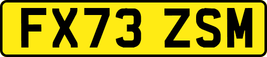 FX73ZSM