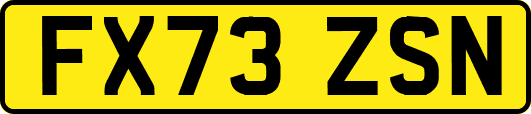 FX73ZSN