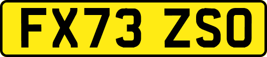 FX73ZSO