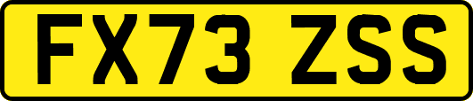 FX73ZSS