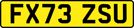 FX73ZSU
