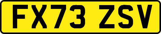 FX73ZSV