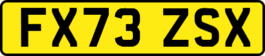 FX73ZSX