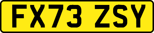 FX73ZSY