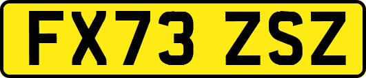 FX73ZSZ