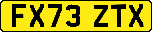 FX73ZTX