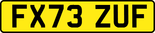 FX73ZUF