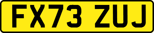 FX73ZUJ