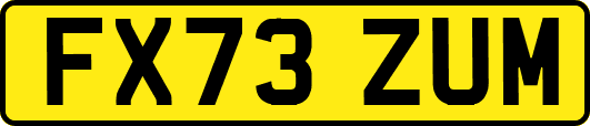 FX73ZUM