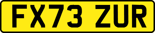 FX73ZUR