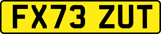 FX73ZUT