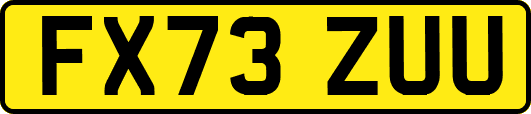 FX73ZUU