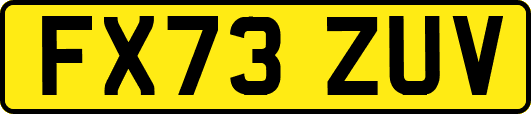 FX73ZUV