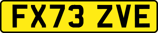 FX73ZVE