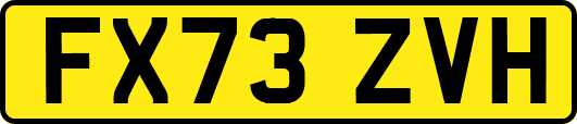 FX73ZVH