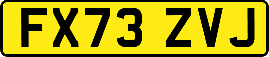 FX73ZVJ