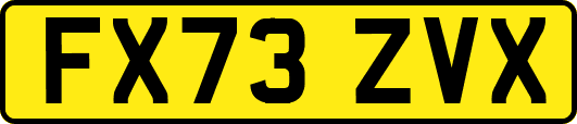 FX73ZVX