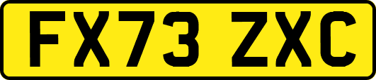 FX73ZXC
